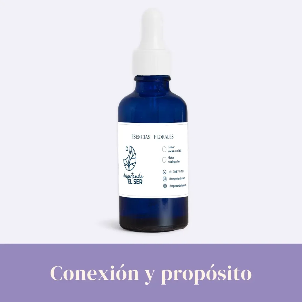 Conexión y propósito